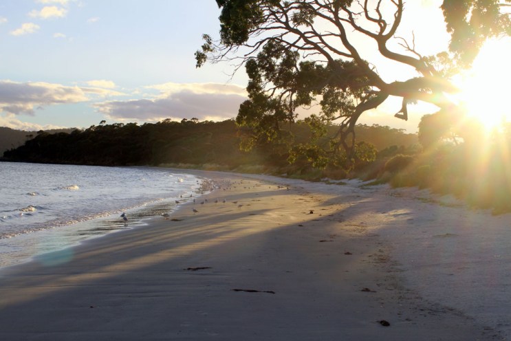 00d12-jetty2bbeach2bsouth2bbruny2bisland2bnp