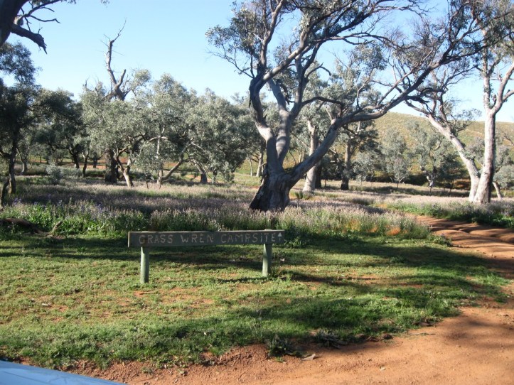 066b5-grasswrencampsite
