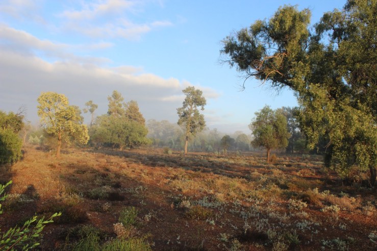 0a0b6-round2bhill2bnature2breserve2bnear2bwhoey2btank