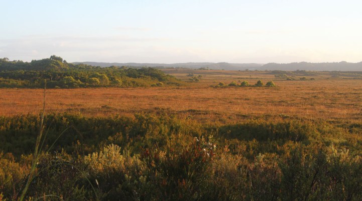 0b637-heathland2bnear2bstrahan