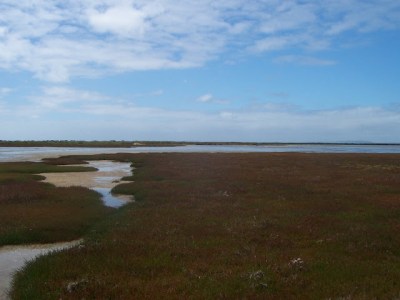 [Mud+Islands+Central+Lagoo.jpg]