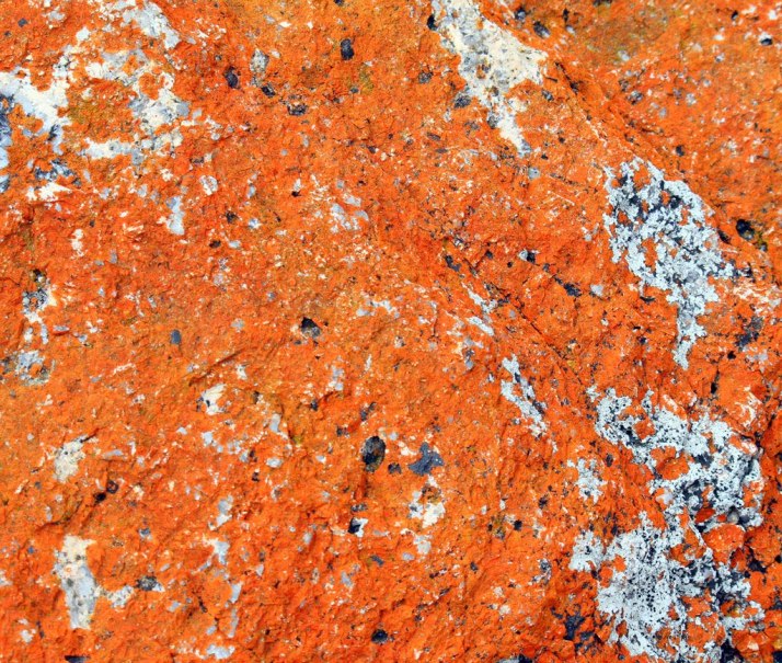 1fbbc-rock2bwith2borange2blichen