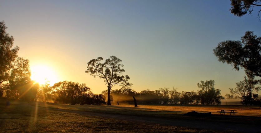 2e232-wyperfeld2bearly2bmorning