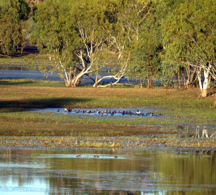 50c33-clearwaterlagoon_2