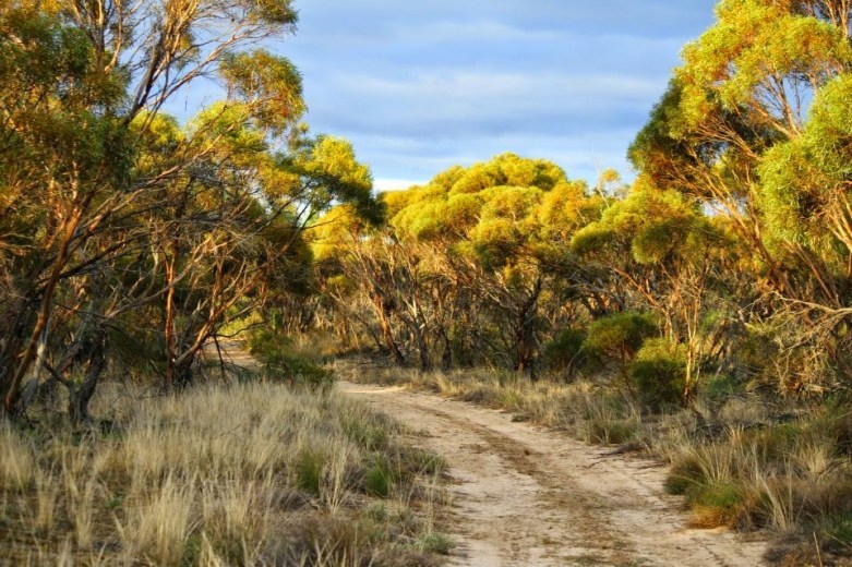 5669b-w2bnine2bmile2btrack