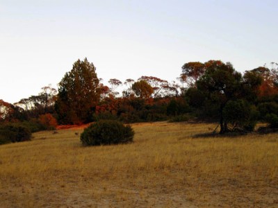 [Mt+Mattingley1.jpg]