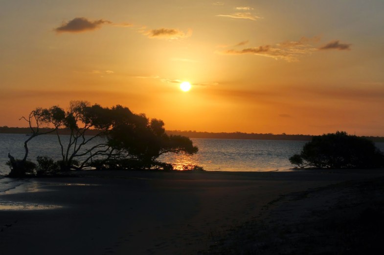 62dc3-qld2binskip2bpoint2b2