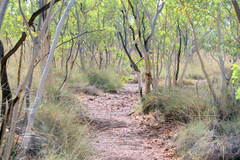 76380-creekline_carpsite_2