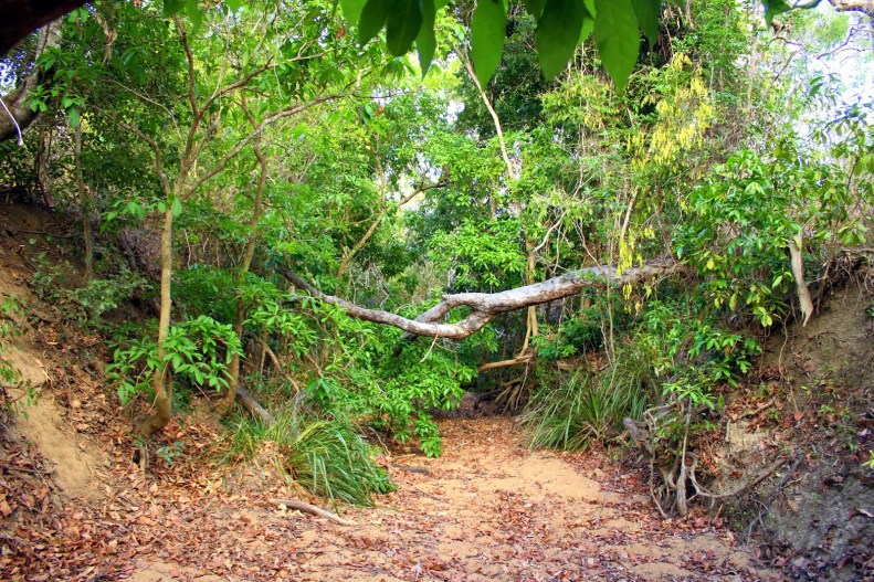 84ad5-bimitchellcreek