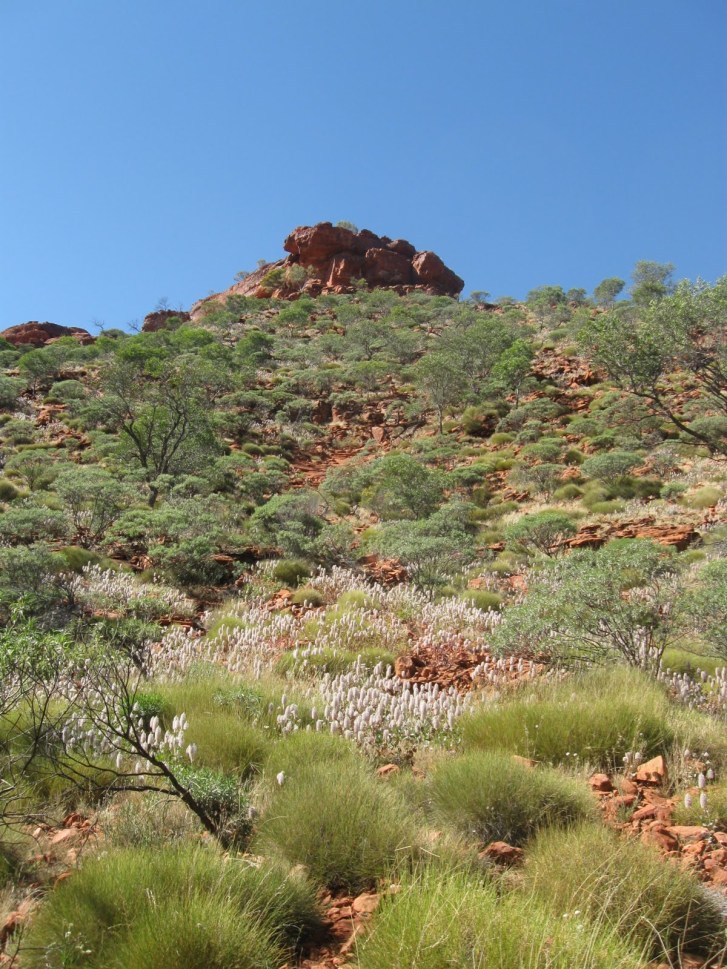 85c7e-akingcanyonwalk