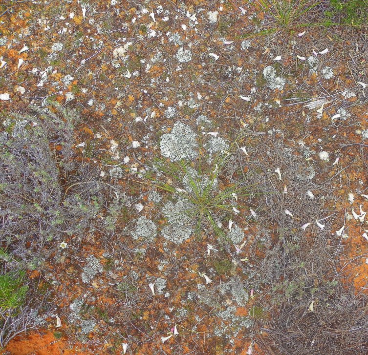 9438d-1_gluepiotground_a