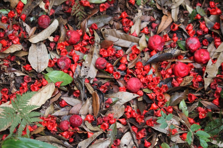 9faaf-floorwithflowerandberries