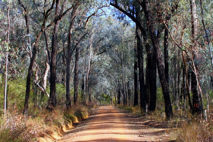 a4c19-chilternnationalparkroad