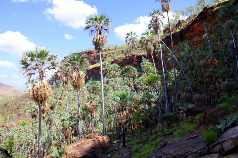 aa67b-walk2bgregory2bgood2bfor2bshade