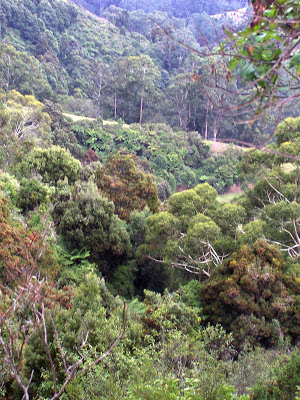 [Old+Hordern+Vale+Road1.jpg]