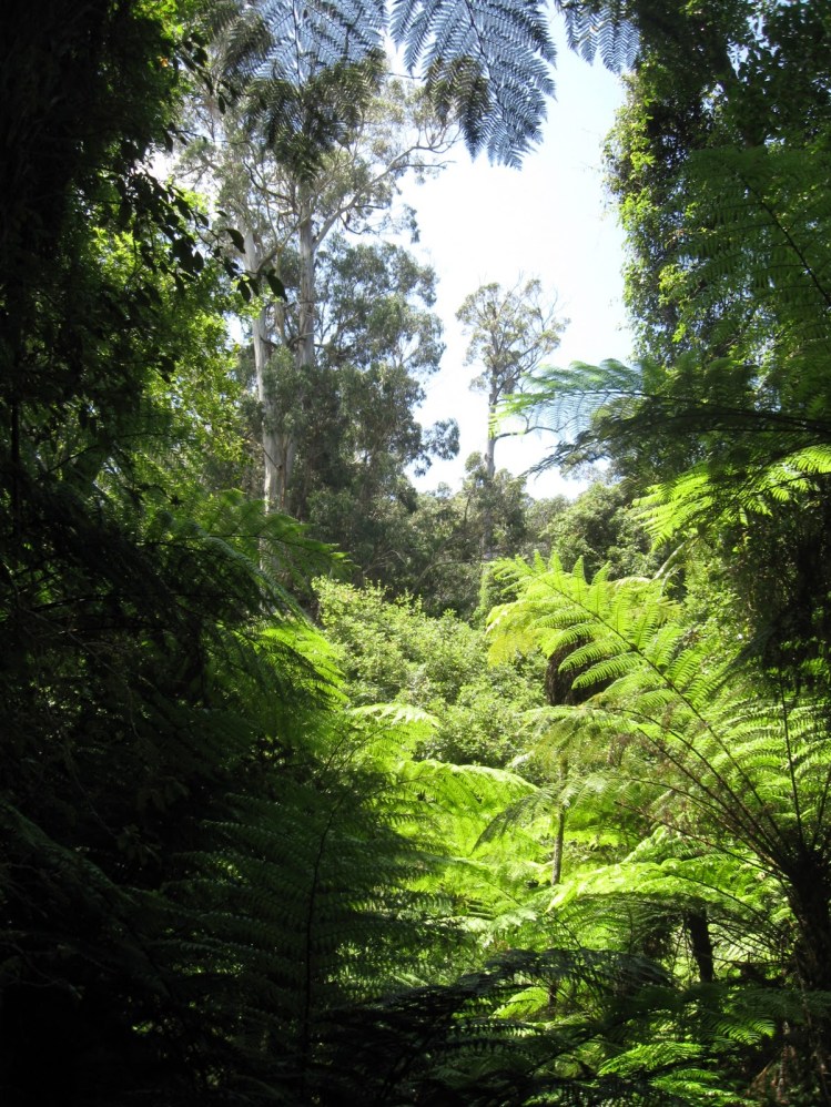 e74f2-maxwellcreekwalk