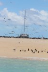 Michaelmas Cay Boat