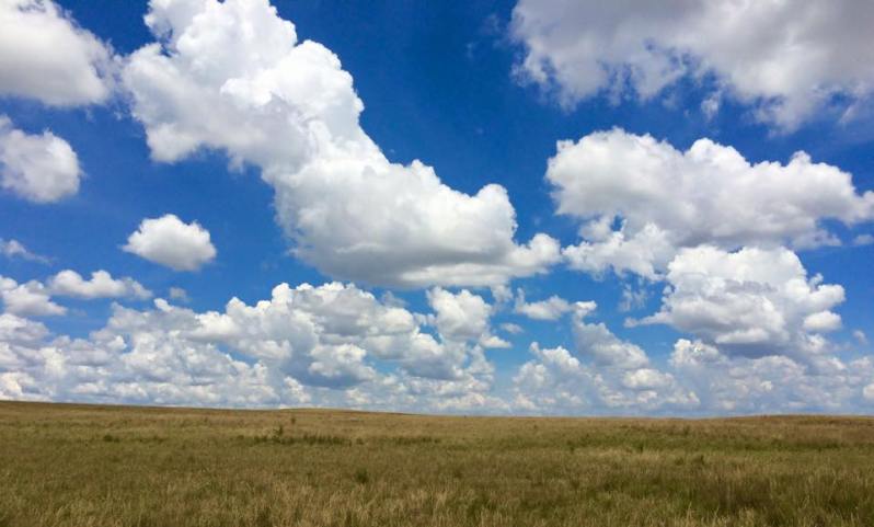 10891639_10205364332565890_577627401002640704_n